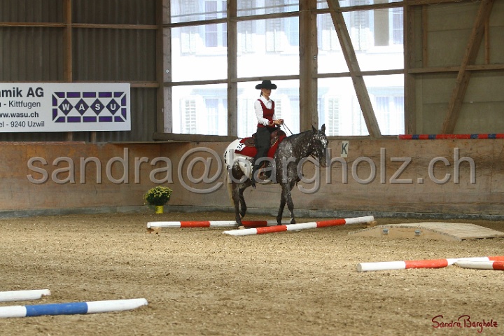 26-ApHC GT_018.jpg